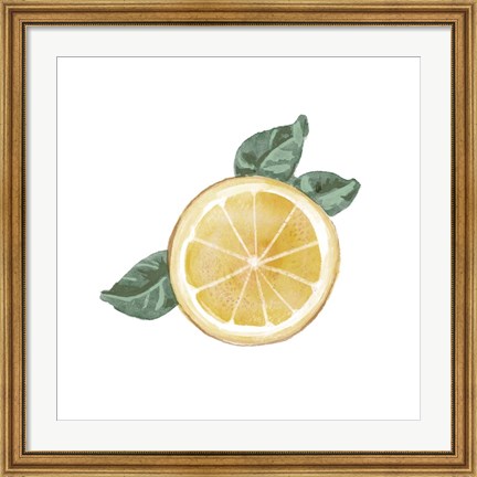 Framed Citrus Limon V Print
