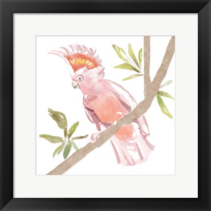 Framed Tropical Cockatoo Print