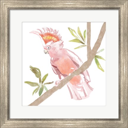 Framed Tropical Cockatoo Print