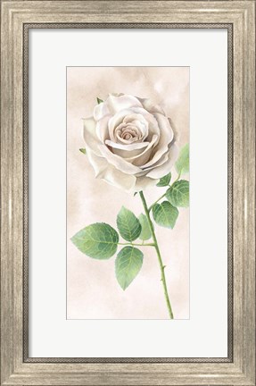 Framed Ivory Roses Panel II Print