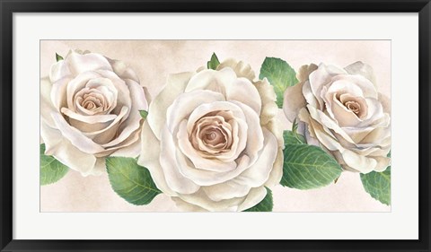 Framed Ivory Roses Landscape I Print