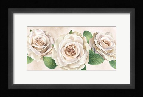 Framed Ivory Roses Landscape I Print