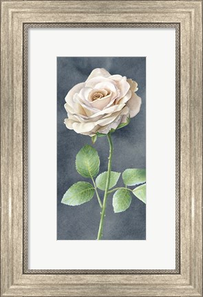 Framed Ivory Roses on Gray Panel I Print