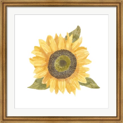 Framed Single Sunflower I Print