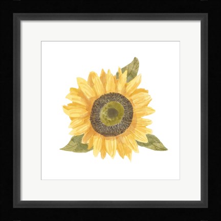 Framed Single Sunflower I Print