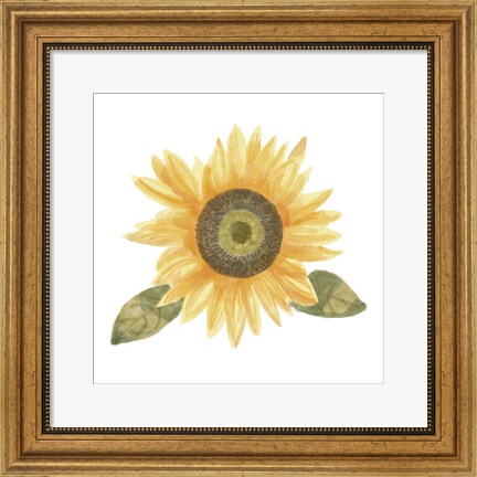 Framed Single Sunflower II Print