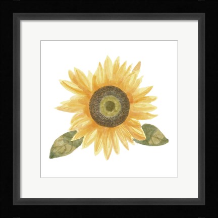 Framed Single Sunflower II Print