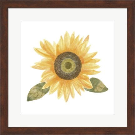 Framed Single Sunflower II Print