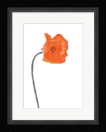Framed Solo Poppy Red I Print