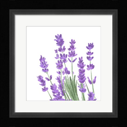 Framed Wildflower Group II Print