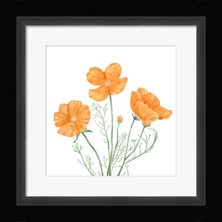 Framed Wildflower Group III Print
