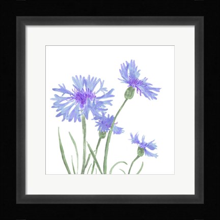 Framed Wildflower Group IV Print