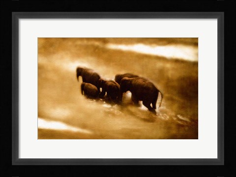 Framed Crossing Print