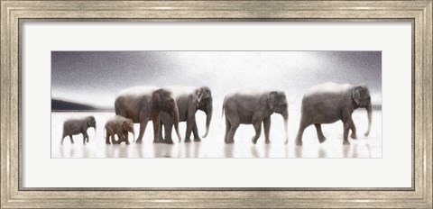 Framed Elephant Mirage Print