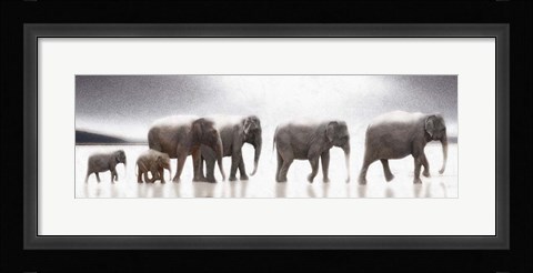 Framed Elephant Mirage Print