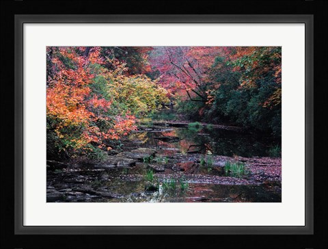 Framed Fall Creek Print