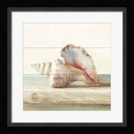 Framed Driftwood Shell IV Print
