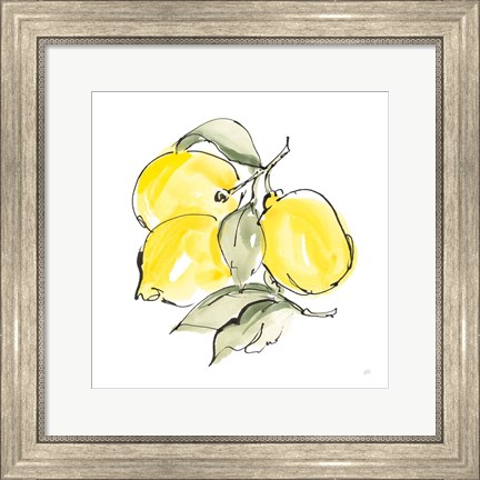 Framed Lemons III Print