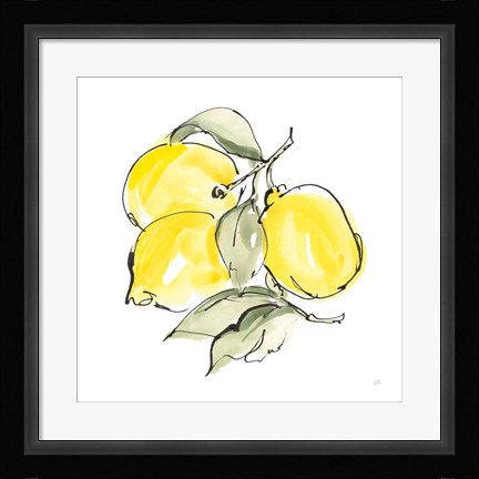 Framed Lemons III Print