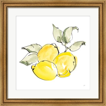 Framed Lemons II Print