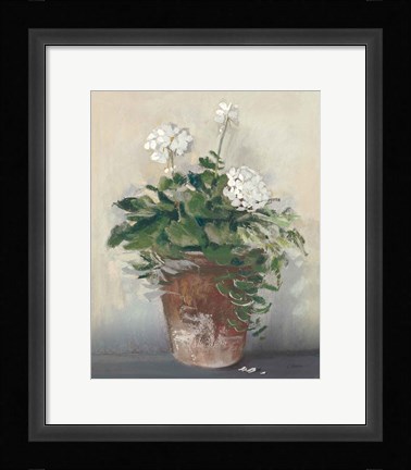 Framed Pot of White Geraniums Print
