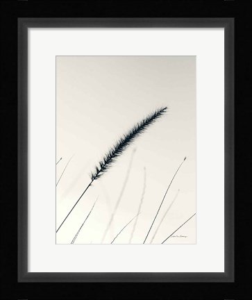 Framed Field Grasses V Print