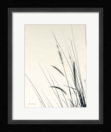Framed Field Grasses II Print