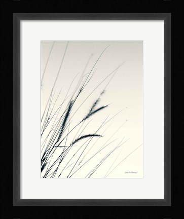 Framed Field Grasses I Print