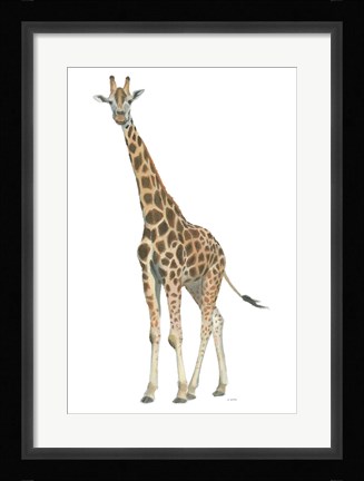 Framed Wild and Free V Print