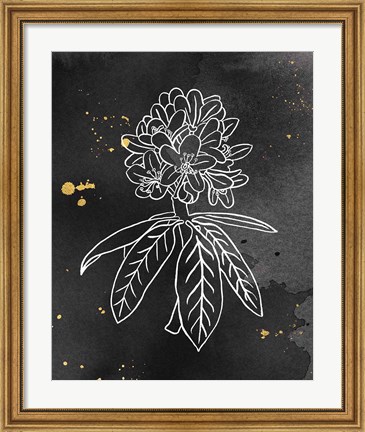 Framed Indigo Blooms II Black Print