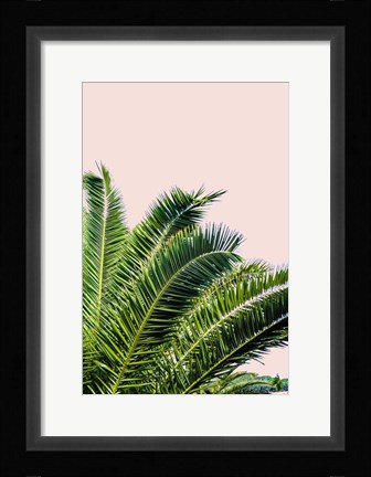 Framed Tropical Leaves On Blush I Print