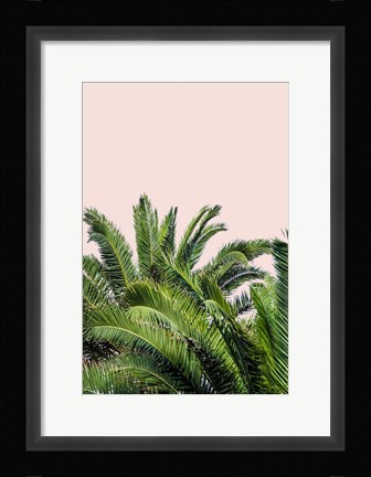 Framed Tropical Leaves on Blush II Print
