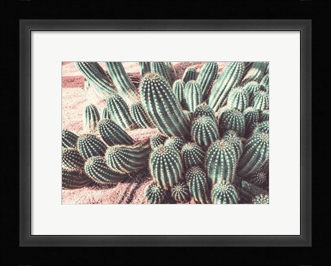 Framed Cactus Muted Burst Print