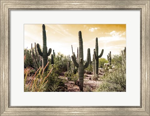 Framed Cactus Field Under Golden Skies Print
