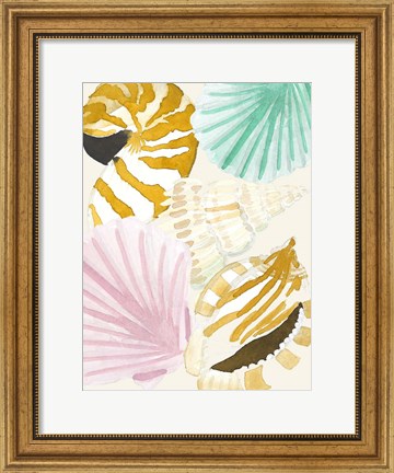 Framed Seashell Collage Print
