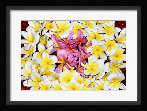 Framed Floating Petals Print