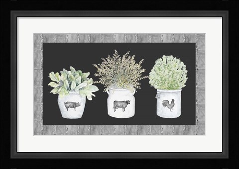 Framed Potted Farm Arrangement Trio on Chalkboard Print