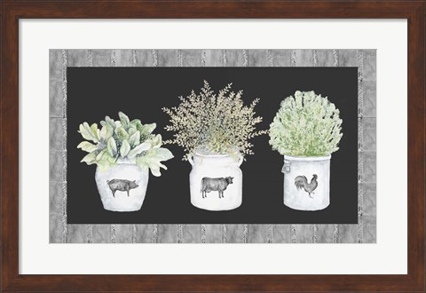 Framed Potted Farm Arrangement Trio on Chalkboard Print
