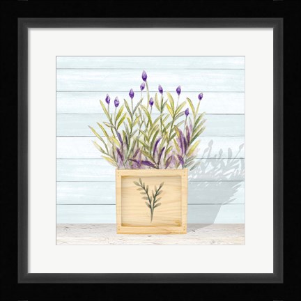 Framed Lavender and Wood Square II Print