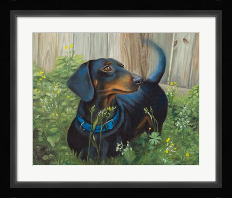 Framed Dachshund Print
