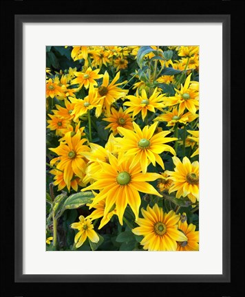 Framed Bright Spring Print