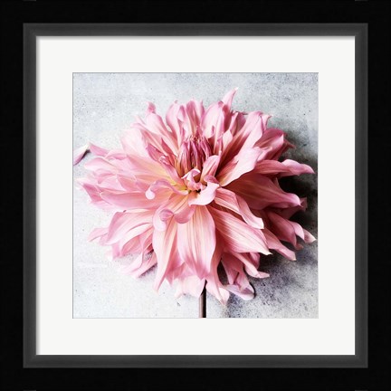 Framed Freshly Picked from the Garden Print