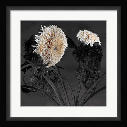 Framed Sunflowers I Print