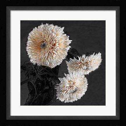 Framed Sunflowers II Print