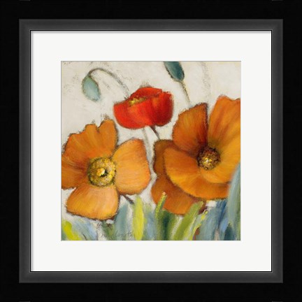 Framed Poppy Splendor Square III Print