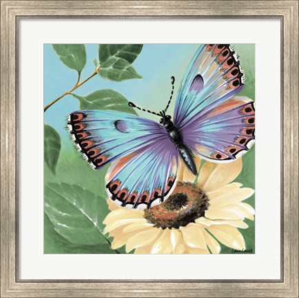 Framed Butterfly Flowers II Print