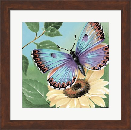 Framed Butterfly Flowers II Print
