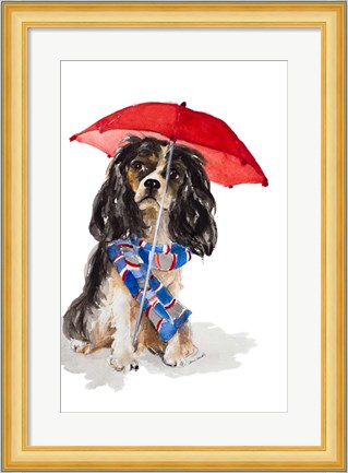 Framed King Charles Spaniel In The Rain Print