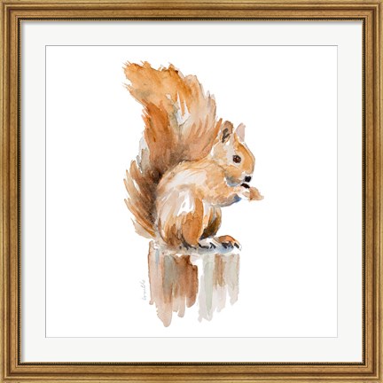 Framed Watercolor Squirrel Print