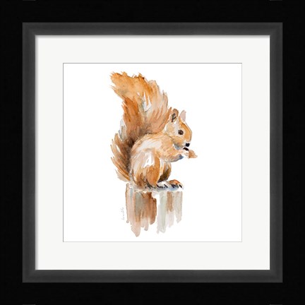 Framed Watercolor Squirrel Print
